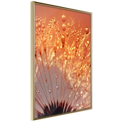 Poster Artgeist Affisch Autumn Dandelion