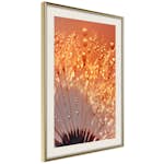 Poster Artgeist Affisch Autumn Dandelion