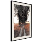 Poster Artgeist Affisch Road to the Forest