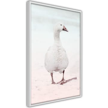 Poster Artgeist Affisch Winter Duck