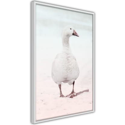 Poster Artgeist Affisch Winter Duck