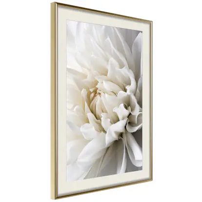 Poster Artgeist Affisch White Dahlia