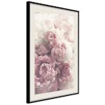 Poster Artgeist Affisch Delicate Peonies