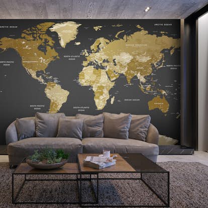 Fototapet Arkiio Självhäftande World Map Modern Geography