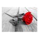 Fototapet Arkiio Abandoned Rose