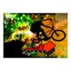 Fototapet Arkiio Bicycle Tricks