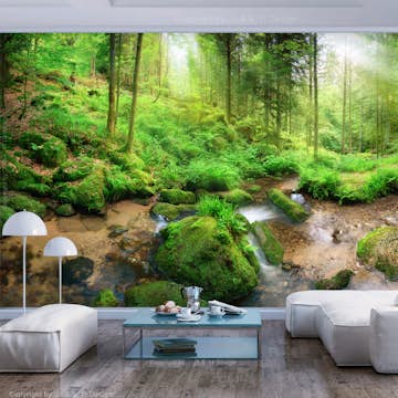 Fototapet Arkiio Humid Forest