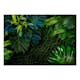 Fototapet Arkiio Dark Jungle