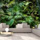 Fototapet Arkiio Sunny Jungle