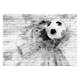Fototapet Arkiio Dynamic Football