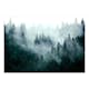 Fototapet Arkiio Mountain Forest (Dark Green)