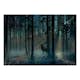 Fototapet Arkiio Mystical Forest - Third Variant
