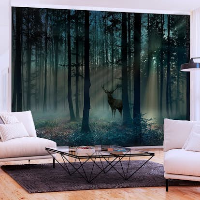 Fototapet Arkiio Mystical Forest - Third Variant
