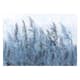 Fototapet Arkiio Tall Grasses Arkiio Grey