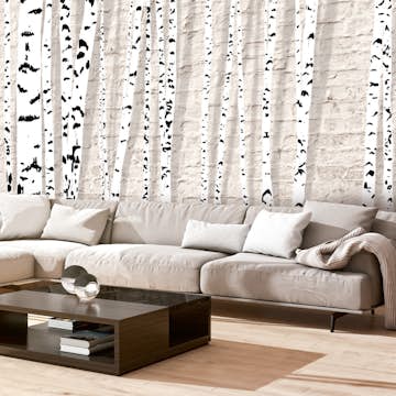 Fototapet Arkiio Birchen Grove