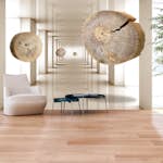 Fototapet Arkiio Flying Discs Of Wood
