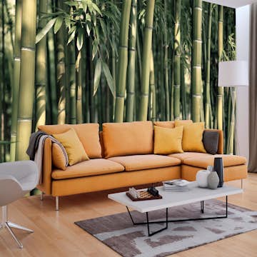 Fototapet Arkiio Bambo