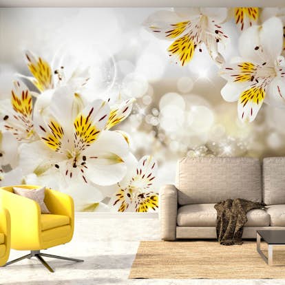 Fototapet Arkiio Sunny Alstroemeria