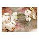 Fototapet Arkiio Desert Orchid
