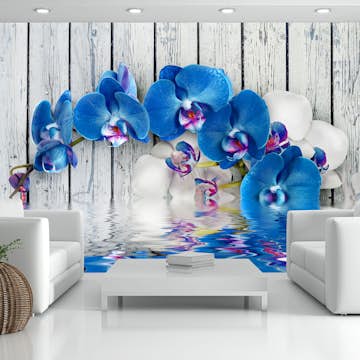 Fototapet Arkiio Cobaltic Orchid