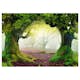 Fototapet Arkiio Självhäftande Enchanted Forest