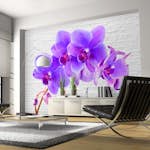 Fototapet Arkiio Viole