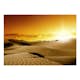 Fototapet Arkiio March Of Camels