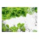 Fototapet Arkiio Colors Of Spring: Green