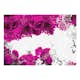 Fototapet Arkiio Colors Of Spring: Fuchsia