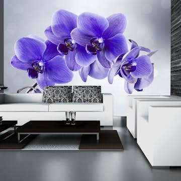 Fototapet Arkiio Självhäftande Parting Hour