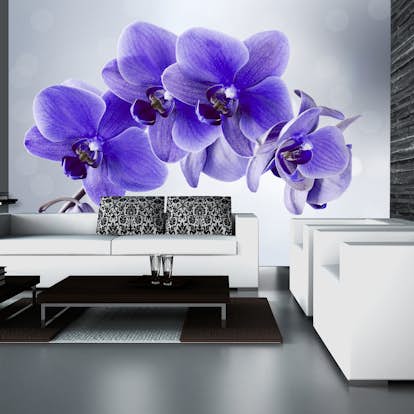 Fototapet Arkiio Självhäftande Parting Hour