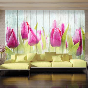 Fototapet Arkiio Tulips On White Wood