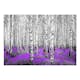 Fototapet Arkiio Purple Asylum