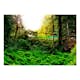 Fototapet Arkiio In Tropics