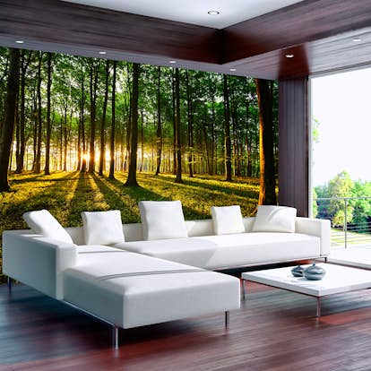 Fototapet Arkiio Självhäftande Spring Morning In The Forest