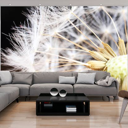 Fototapet Arkiio Fluffy Dandelion