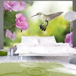 Fototapet Arkiio Humming Bird