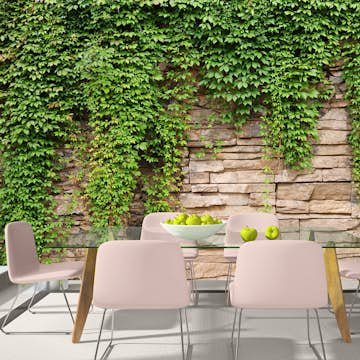 Fototapet Arkiio Ivy Wall