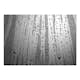 Fototapet Arkiio Summer Drizzle