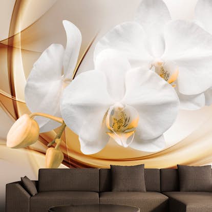 Fototapet Arkiio Orchid Blossom