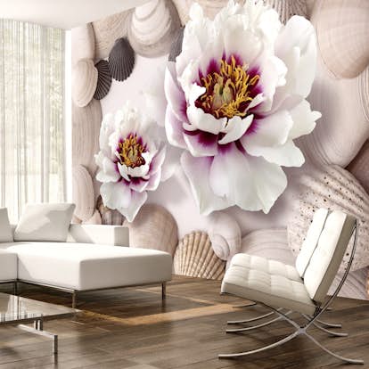 Fototapet Arkiio Flowers And Shells