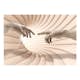 Fototapet Arkiio Follow The Light