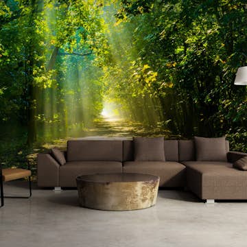 Fototapet Arkiio Road In Sunlight