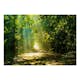Fototapet Arkiio Road In Sunlight