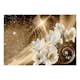 Fototapet Arkiio Golden Milky Way