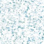 Tapet Wallquest L'Atelier de Paris AH41702