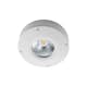 Downlight SG ARMATUREN Callisto 3W IP65 LED