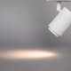Spotlight Hide-a-lite Focus Spot Micro Tune