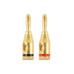 Banankontakt Champion Sva/Röd Hane/Hona