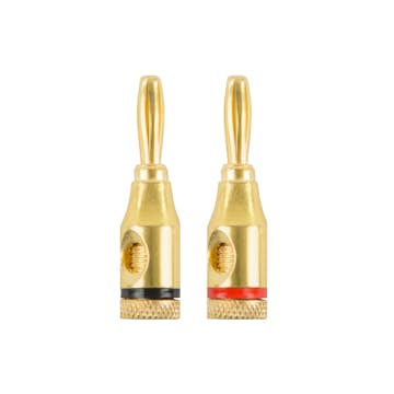 Banankontakt Champion Sva/Röd Hane/Hona